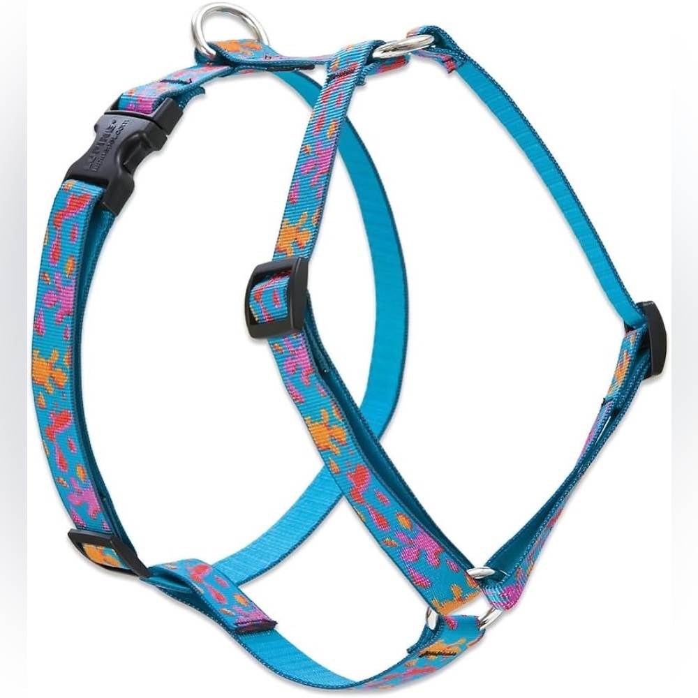 Lupine Pet 3/4” Roman 14-24” Harness & 6’ Leash Set - Wet Paint! - New w/ Tags